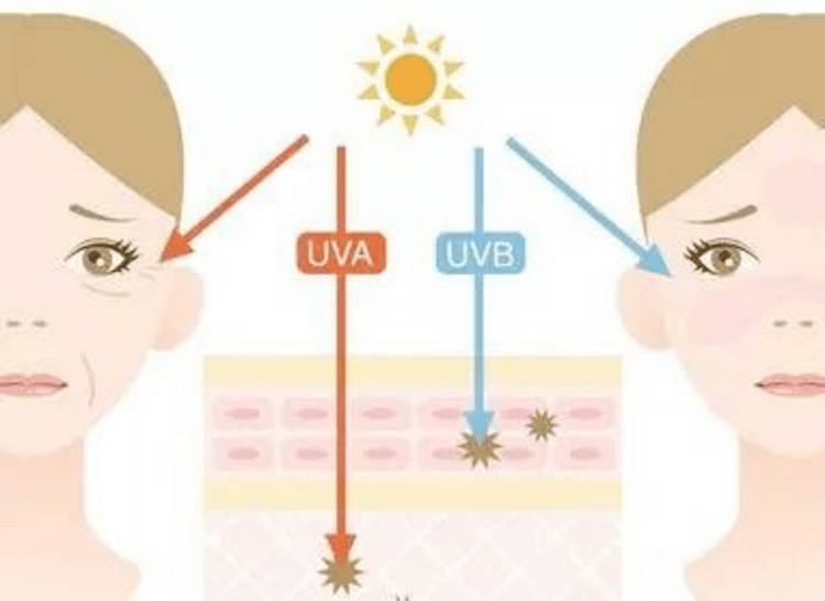 【UVLED固化小百科】UVLED紫外線的預(yù)防和緩解方法